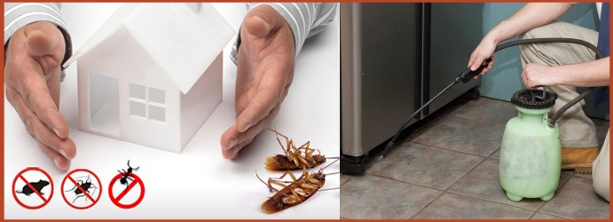 How to Choose the Right Pest Control Company in Williams Landing?