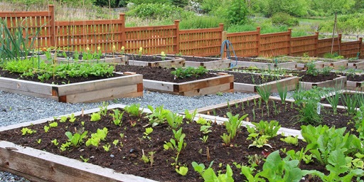 Simple and Effective Ways to Improve your Garden Soil