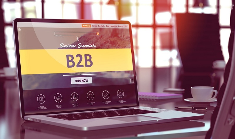 Web Design for B2B – important features.