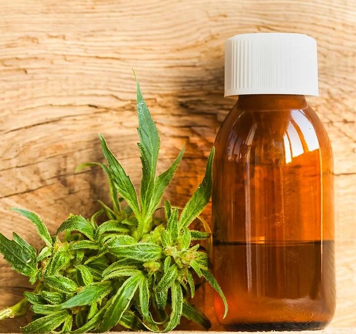 What are the side effects of Cannabidiol oil (CBD oil)?