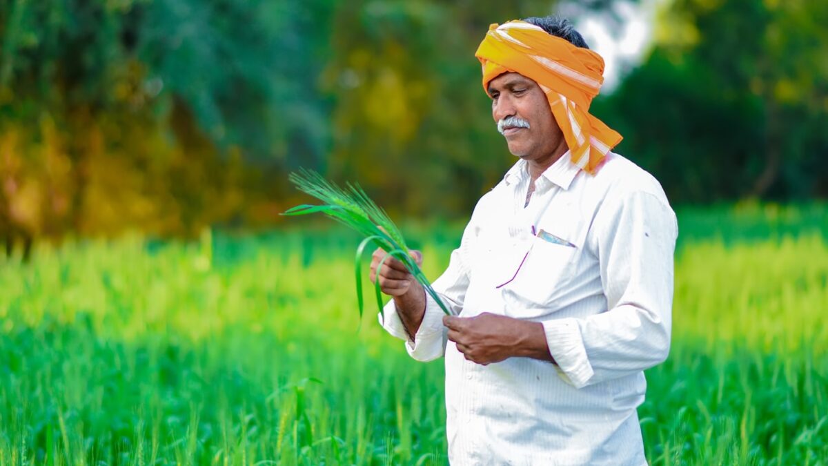 5 crop insurance terminologies you should know about