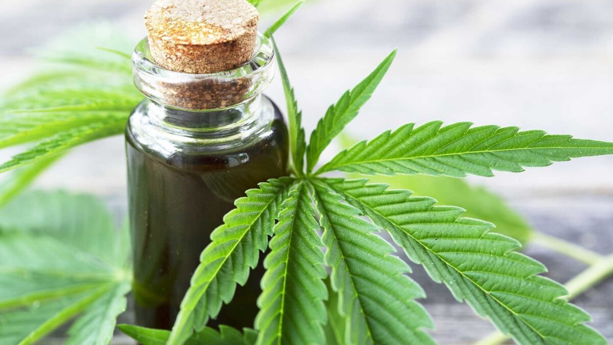 A Brief History of CBD