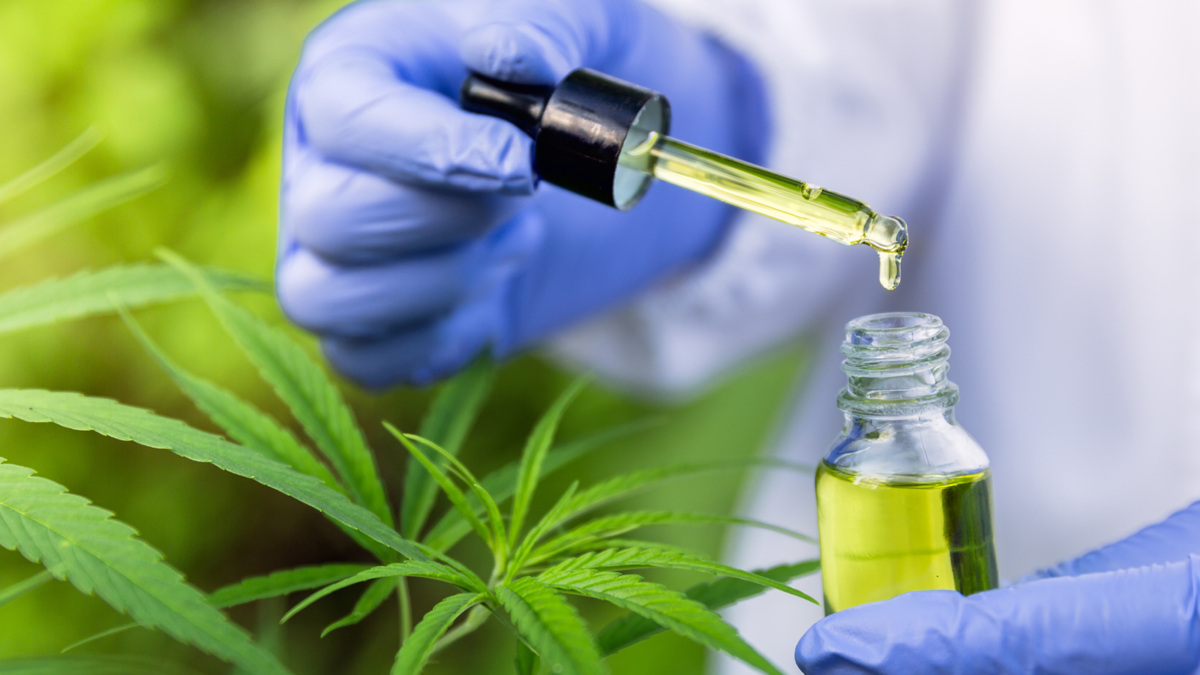What I Didn’t Know about CBD And Sex (but am grateful to know now)