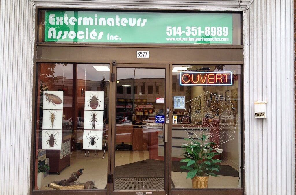 Contrôle des parasites par un exterminateur Montrealcertifié