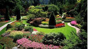 Landscaping your garden: tips for successful landscaping