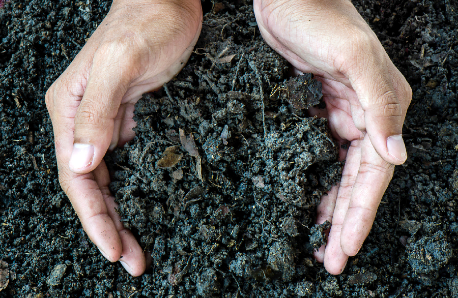 WAYS YOU CAN PRESERVE YOUR SOIL HEALTH