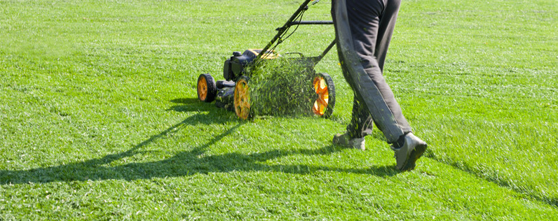 What can you use a great lawn maintenance company for?