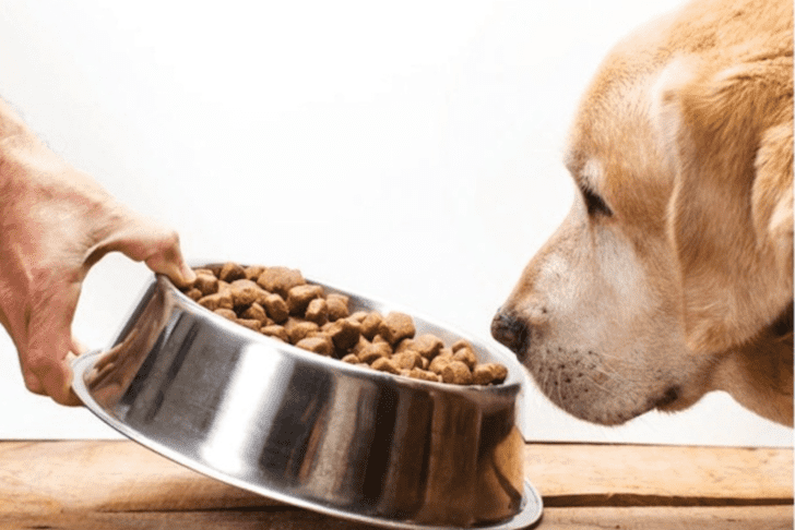 In 1997, the FDA requested canine meals makers.