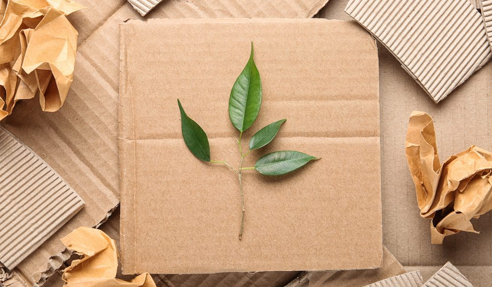 Environmental Advantages of Corrugated Packaging