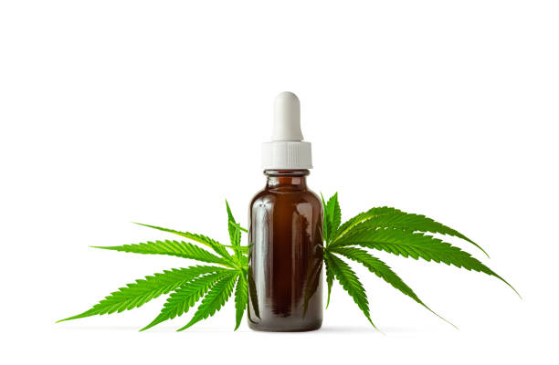 CBD Oil Offers the Right Choice