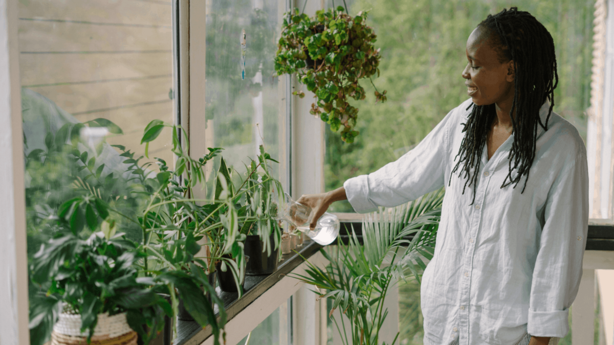 How Indoor Plants Can Help Relieve Stress