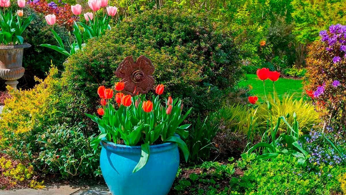 L’hiver arrive : 9 conseils pour préparer votre jardin pour l’hiver