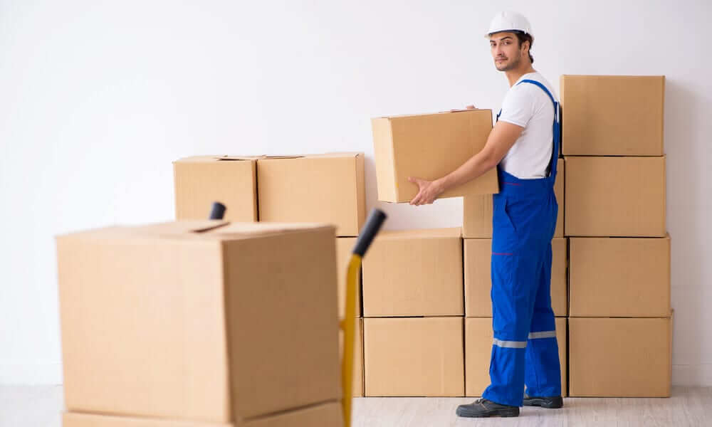 A Beginner’s Guide to Removalists