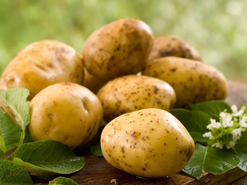 Top 5 Health Benefits Of Potatoes