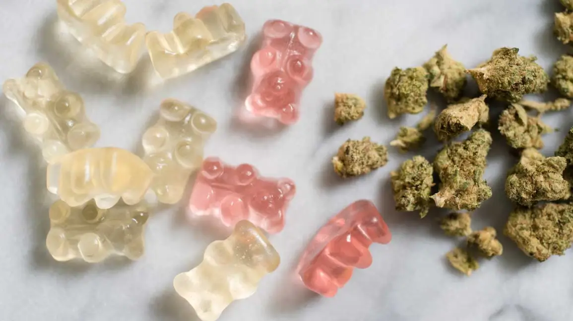 Edibles You Can Make Out of Hemp