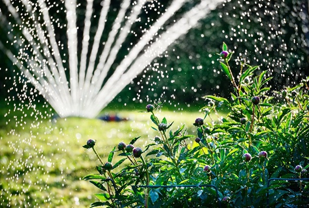 Watering Gardens: Learn How To Water A Garden Effectively