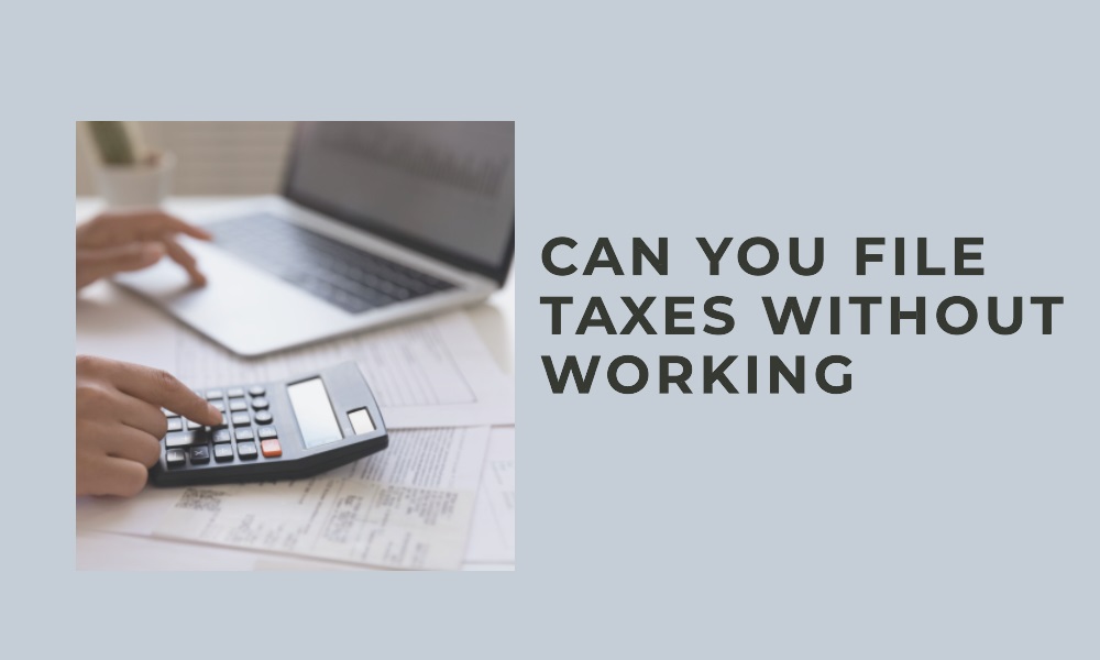 Can You File Taxes Without Working