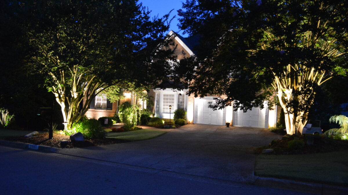 Landscape Spot Light: The Magic of Tree Uplighting