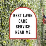 best lawn care service near me