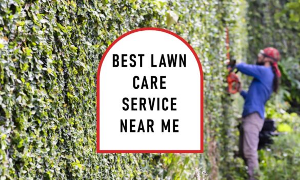 best lawn care service near me