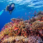 5 reasons to choose the right scuba diving instructors in the UAE