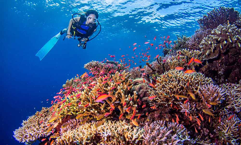 5 reasons to choose the right scuba diving instructors in the UAE