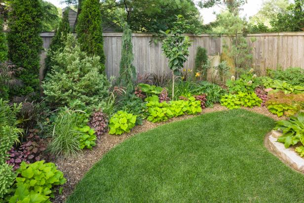 Tips for Lawn Maintenance and Care