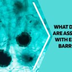 what diseases are associated with epstein-barr virus