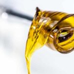 cbd oil for dogs canada