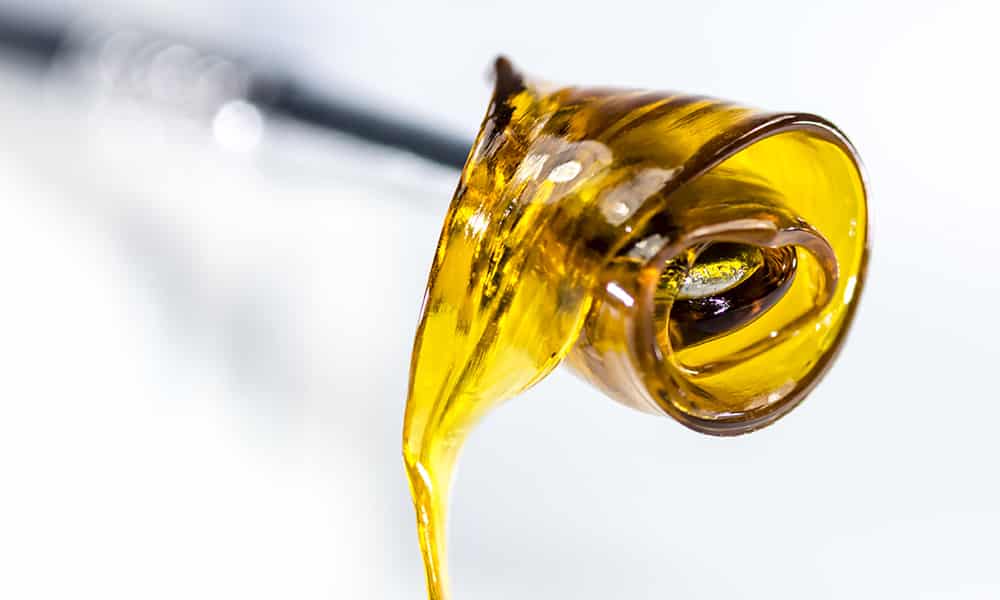 cbd oil for dogs canada