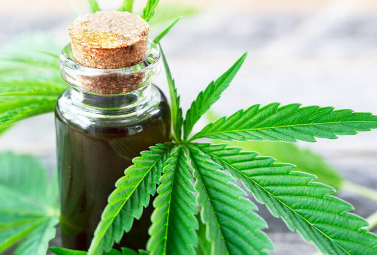 CBD Oil