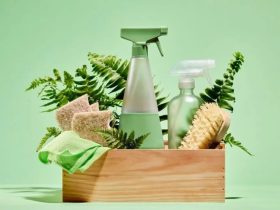 eco-Friendly Cleaning Hacks for a Greener Home