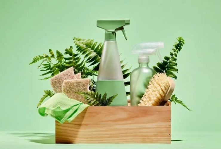 eco-Friendly Cleaning Hacks for a Greener Home